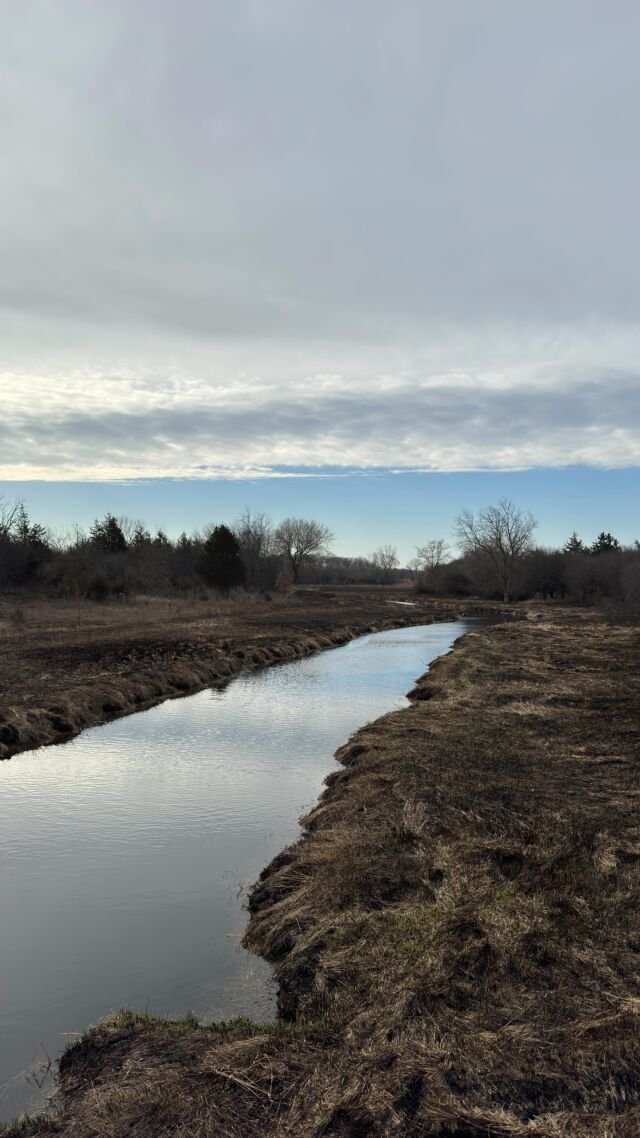 Last week, my husband and I joined a walking club in our town. It's a club that has been going strong for 6 years.

I have seen posts on Facebook for a over a year, thinking about joining - and we finally went and it's awesome.

Week 2 in the books! The best part is every Saturday is at a different path, hiking trail in our area - and this path today is only 13 minutes from my house and I never knew it existed.

About 25 people came today - and as the weeks go by - we'll be making more friends 🤩

So glad my husband and I decided to try this. 🥰🥰

I encourage you to see if your town has something like this - glad I got out of my comfort zone to try something new 🥰

#walkingclub #lakecountyil