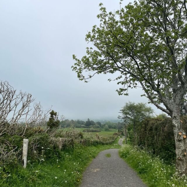 Happy St. Patrick's Day ☘️ ☘️

I have been to Ireland twice- Dublin and Sligo and going again in a few months! ☘️☘️☘️

It's so beautiful and hard to pick from the 1,000+ videos and photos.  My ancestry DNA says I am 9% Irish 🤩🤩

If you have been to Ireland, what was your favorite thing to do?

#travel #dublin #sligo #brucespringsteen2023 #aerlingus